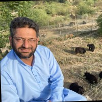 Mohammad Zubair khan