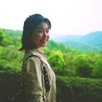 王晨曦