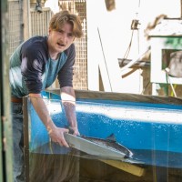 Mathieu Godbold-Smith