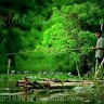 Green Village