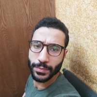 Ahmed Fayed