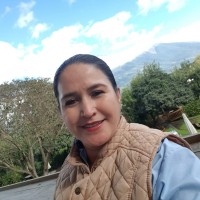 Ana Irene Chitiquez