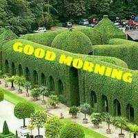 Mansaray Mohamed