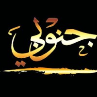 ابراهيم الجنوبي