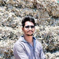 Mari Selvam P
