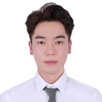 Viet Son Le