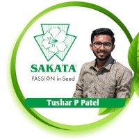 Tushar P Patel
