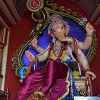 Virendra Waghmare
