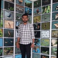 Dodiya Bhavdip
