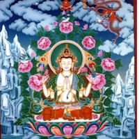 Laxman Adhikari