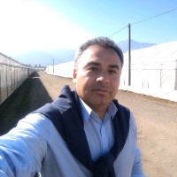 Claudio Andres Orellana Hernandez