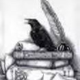 White Raven Sherry Jones