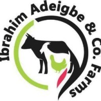 Ibrahim Adeigbe