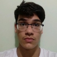 Moisés Zilio Leite