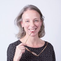 Delphine CHENEVIER ROINEL