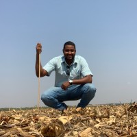 Thales Aquino De Queiroz Ramalho