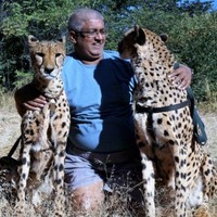 Jayendra Shah  Zambia