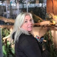 Wanda Elfrink