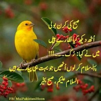 Naazim Shah