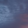 Sky Sam
