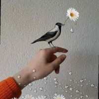 Jasmin Bassam