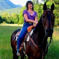 Denise Potts - Belt