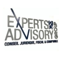 EXPERTS ADVISORY GROUP EAG