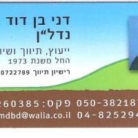 דניאל בן-דוד