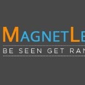 Magnet Lead