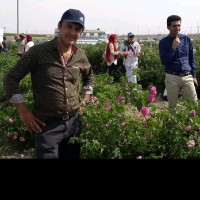 محمد علی بهمنی فر