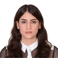Faniz Dadashpour