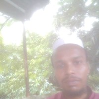 Md murshid Md murshid