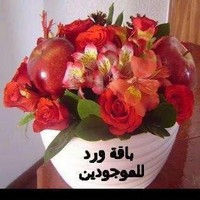 Ahmed Salamah