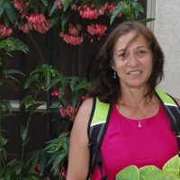 Helene Mehio