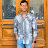Mina Hisham