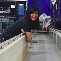 Heng Wu