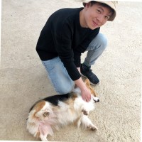 Tú Mạnh