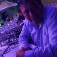 Ed Sevilla