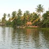 Milind Dangre