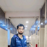 Malik Sikander