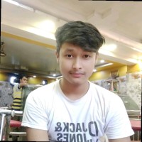 Sayak Roy