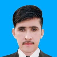 Muhammad Saeed Anwer