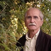 Wim van Wijk