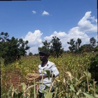 Rich Juma