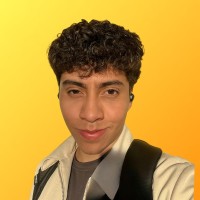 Fernando Villena Ortega