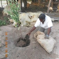 Freddrick Mulopo