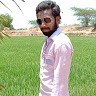 Prasad K