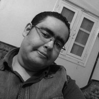 Amr Elshabrawi