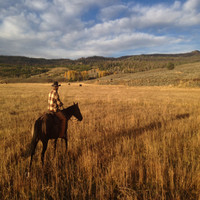 Sam Ingalls