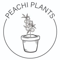 Peachi Plants